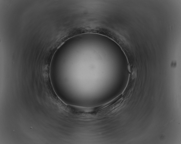 X0000093601156200710221542