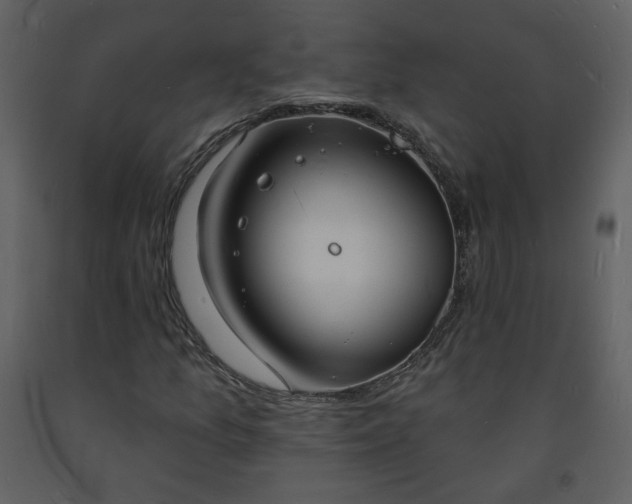 X0000093601157200710221542