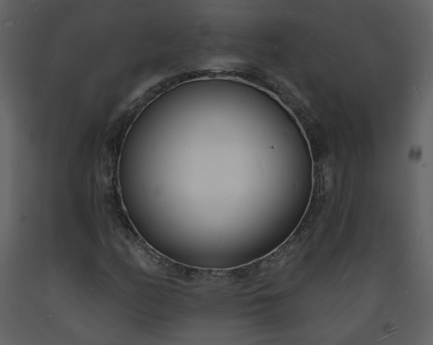 X0000093601158200710221542