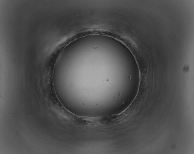 X0000093601159200710221542