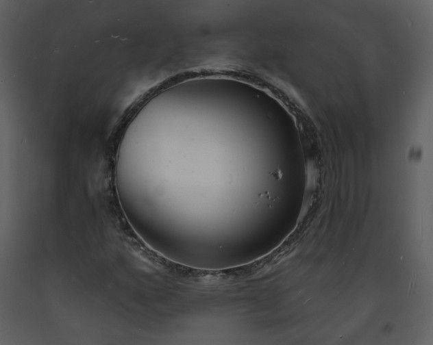 X0000093601160200710221541