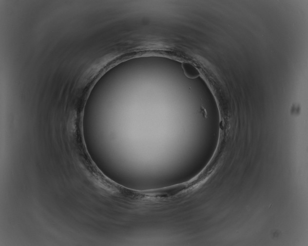 X0000093601161200710221541