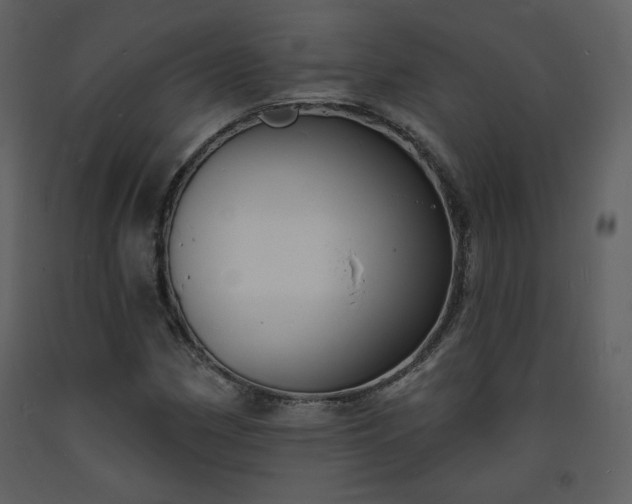 X0000093601162200710221541