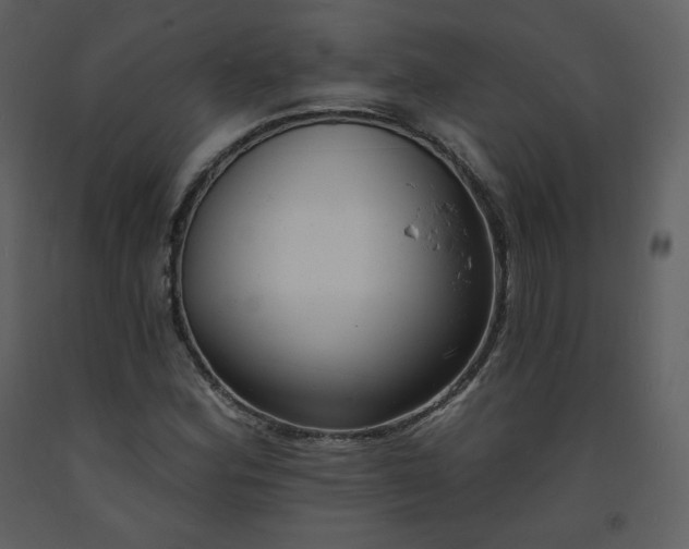 X0000093601164200710221541