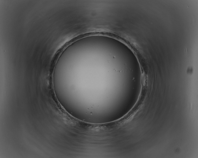 X0000093601165200710221541