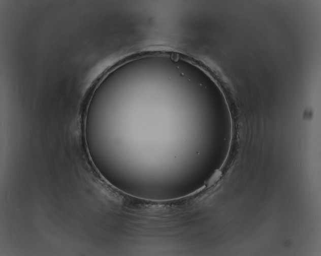 X0000093601167200710221541