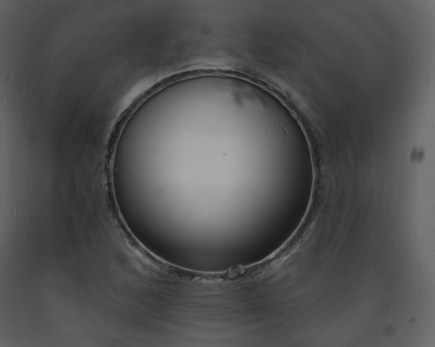 X0000093601168200710221541