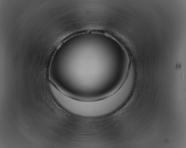 X0000093601169200710221541