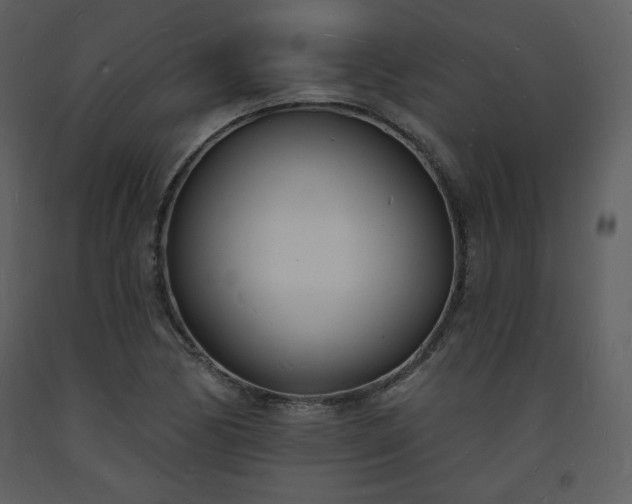 X0000093601170200710221541