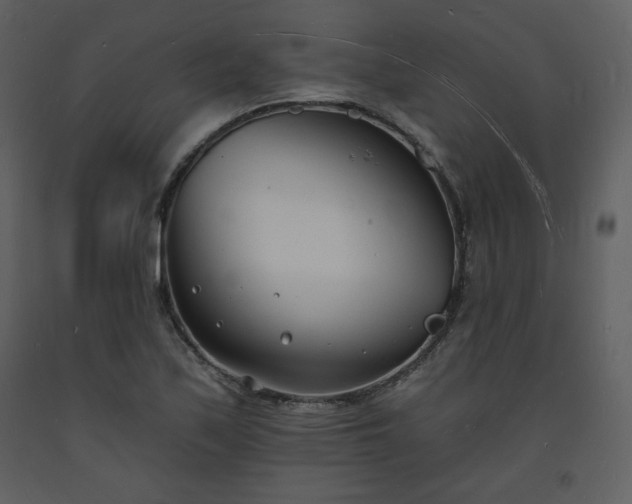 X0000093601171200710221541