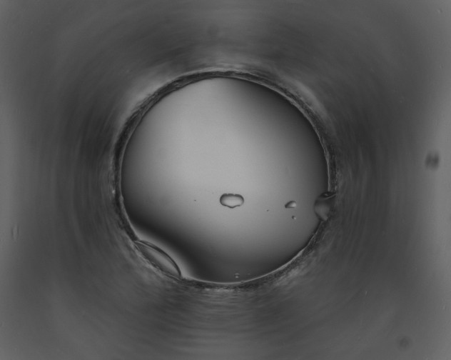 X0000093601172200710221541