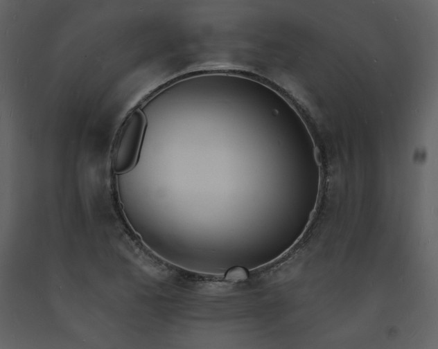 X0000093601173200710221541