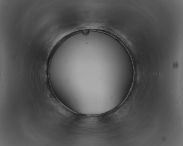 X0000093601174200710221541