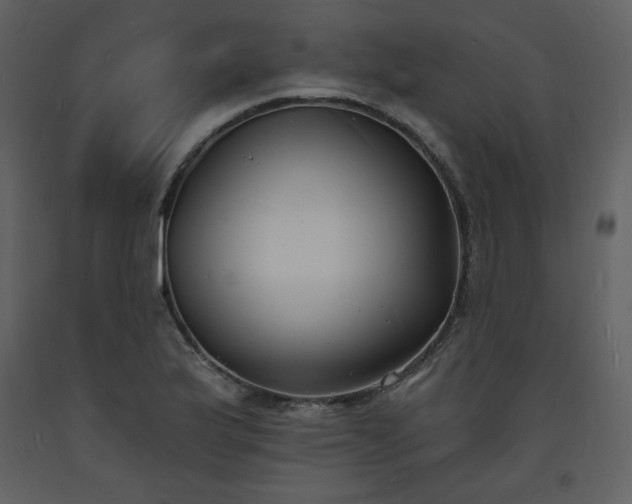 X0000093601175200710221541