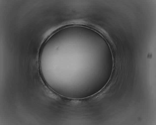 X0000093601176200710221541