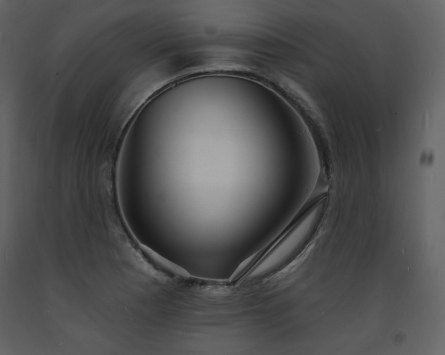 X0000093601177200710221541