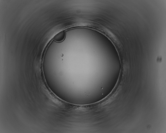 X0000093601178200710221541