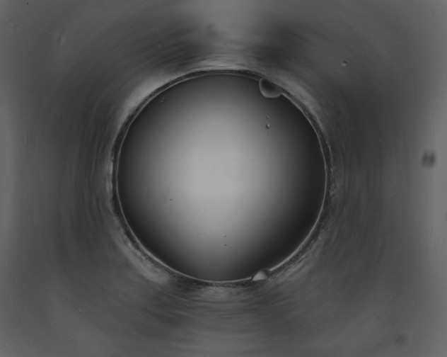 X0000093601179200710221541