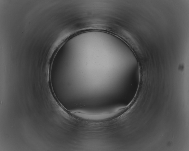 X0000093601180200710221541