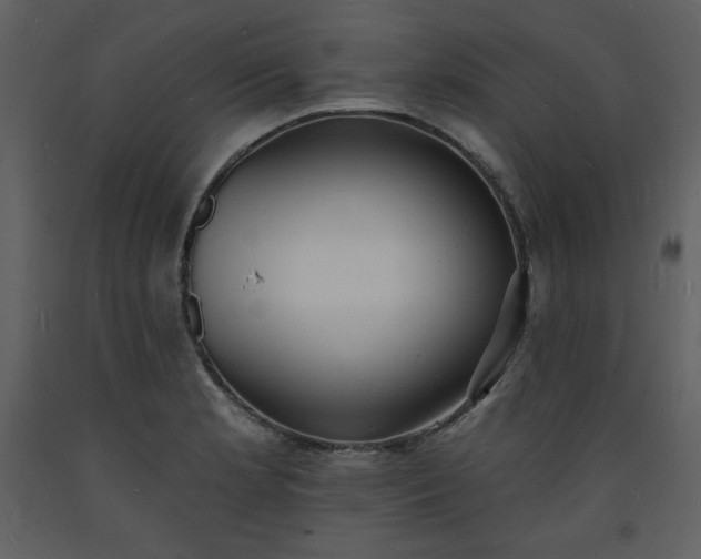 X0000093601181200710221541