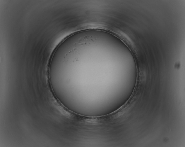 X0000093601182200710221541