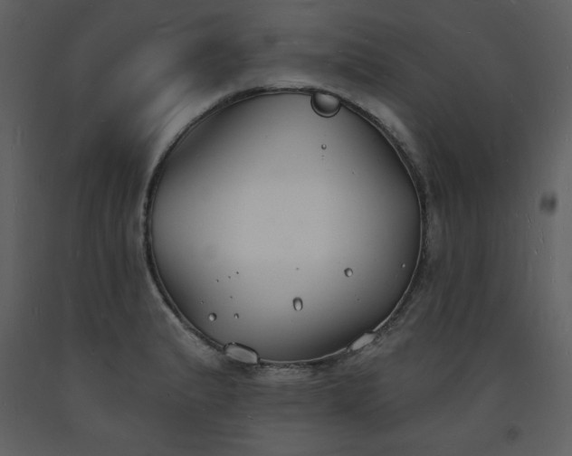 X0000093601183200710221541