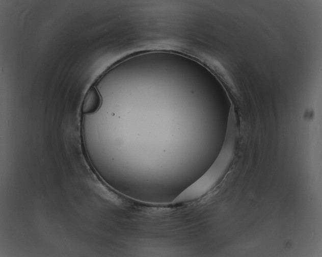 X0000093601184200710221541