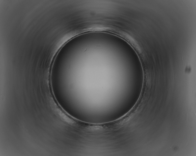 X0000093601186200710221541