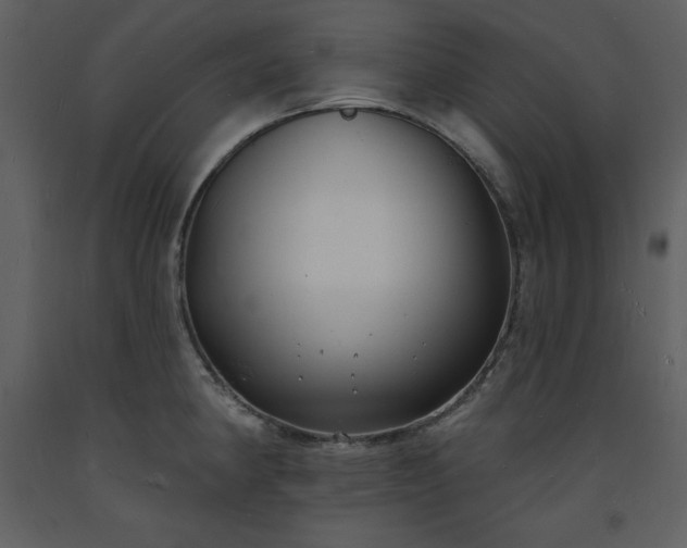 X0000093601190200710221541