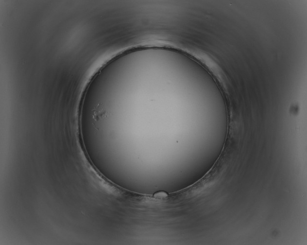 X0000093601191200710221541