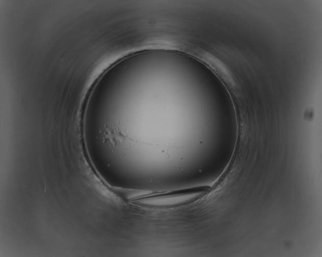 X0000093601192200710221541