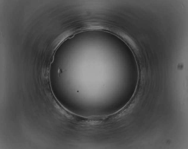 X0000093601193200710221541