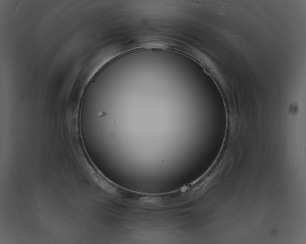 X0000093601194200710221541