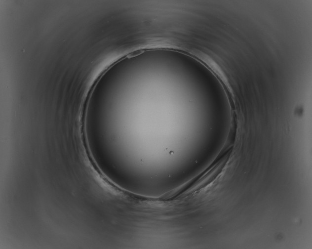 X0000093601197200710221541