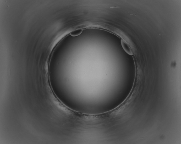 X0000093601198200710221541