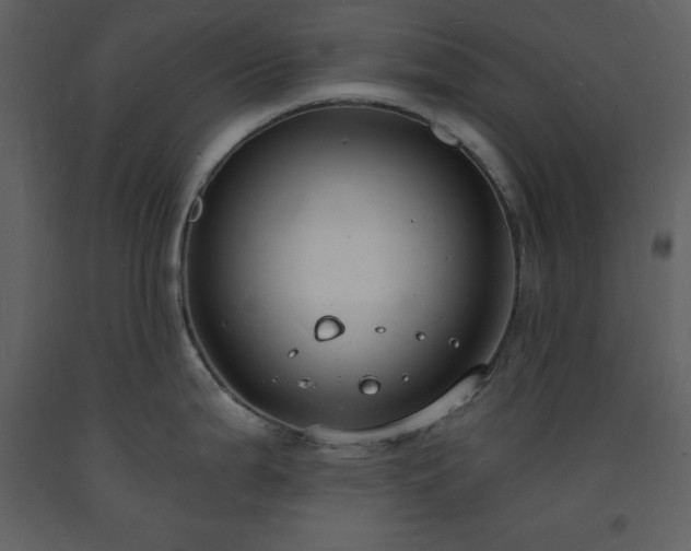 X0000093601199200710221541