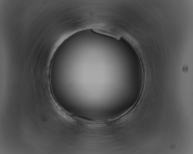 X0000093601200200710221541