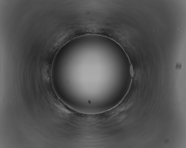 X0000093601202200710221540