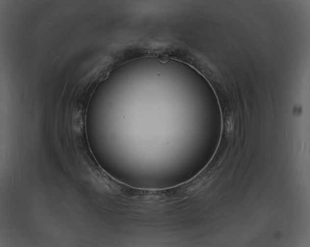 X0000093601204200710221540