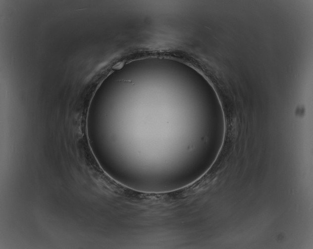 X0000093601205200710221540