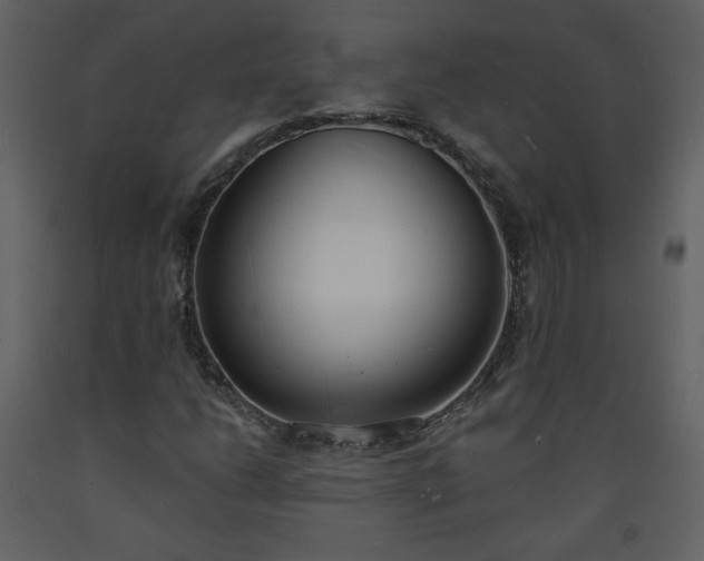 X0000093601206200710221540