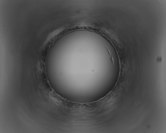 X0000093601207200710221540