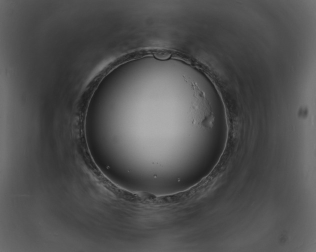 X0000093601208200710221540