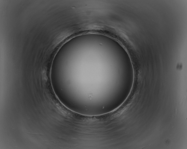 X0000093601209200710221540