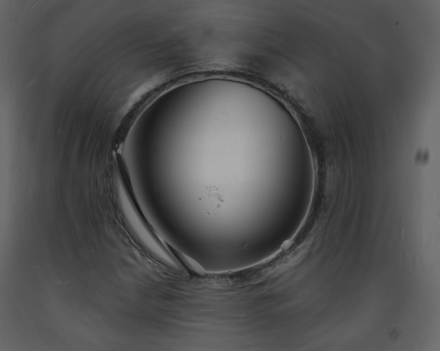 X0000093601210200710221541