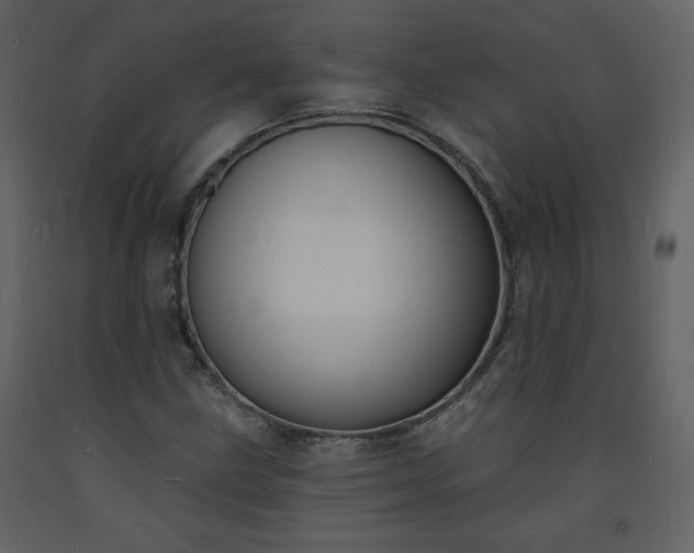 X0000093601211200710221541