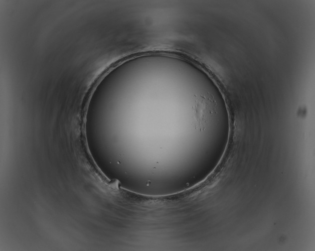 X0000093601212200710221541