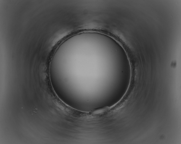 X0000093601213200710221541