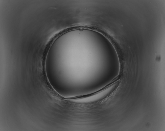 X0000093601214200710221541