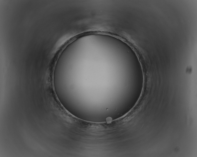 X0000093601215200710221541